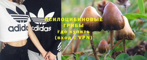 ПСИЛОЦИБИНОВЫЕ ГРИБЫ Алексин