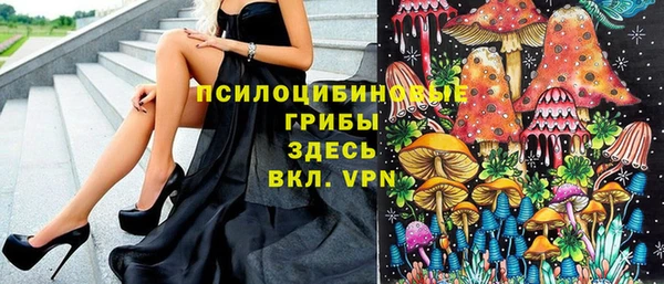 стафф Протвино