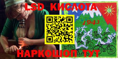 СК Новозыбков