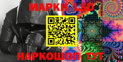 СК Новозыбков