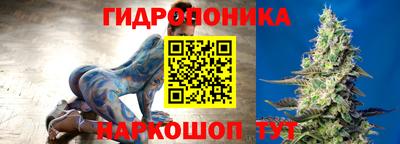 соль ск Новодвинск