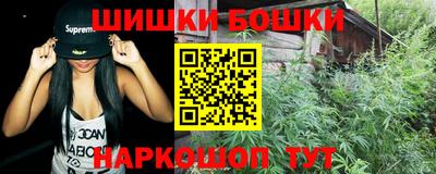 СК Новозыбков