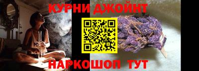 СК Новозыбков