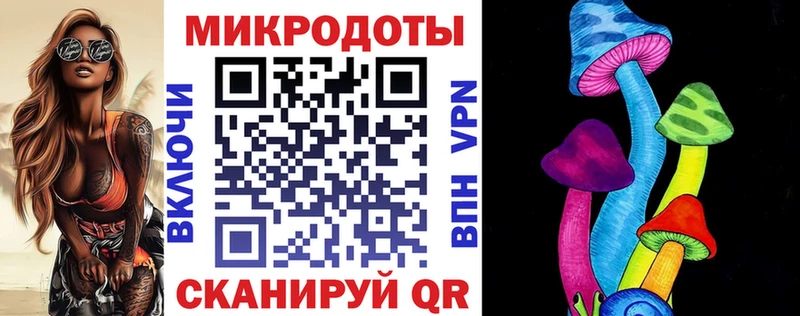 Псилоцибиновые грибы Psilocybe Нижний Новгород