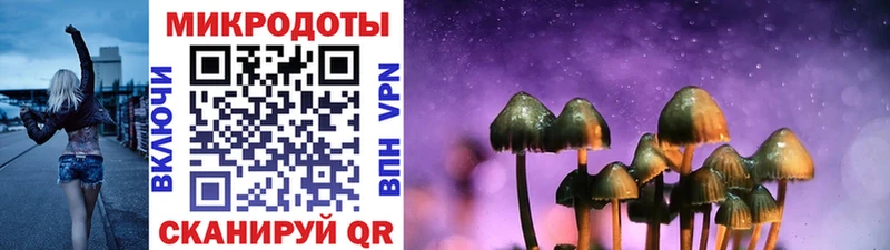 дарнет шоп  Нижний Новгород  Галлюциногенные грибы MAGIC MUSHROOMS 