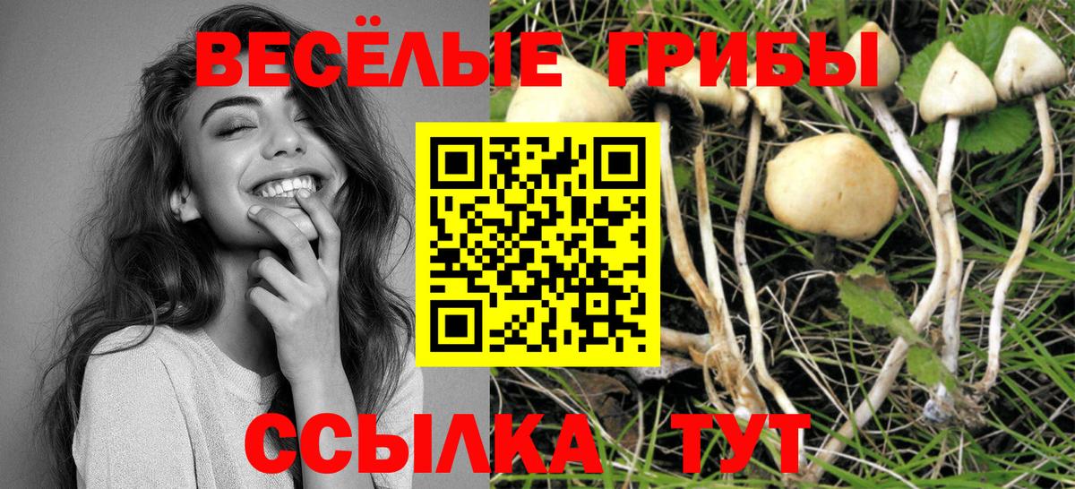 Псилоцибиновые грибы GOLDEN TEACHER  Вход с VPN  Нижний Новгород 