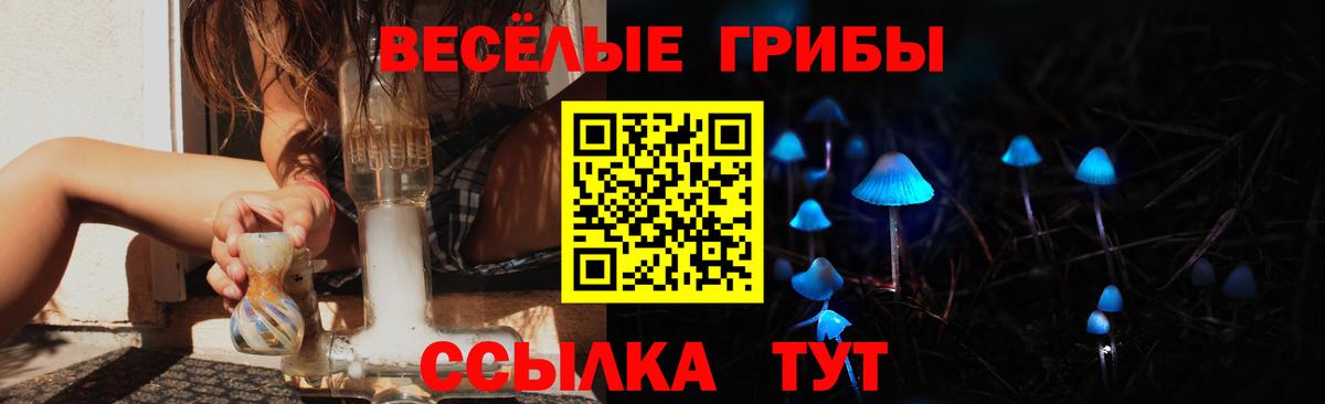 Псилоцибиновые грибы Magic Shrooms Нижний Новгород